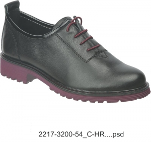 2217-3200-54_C-HR...